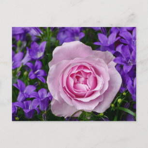 Elegant Tulpan och Ros Blommor Fotografi Vykort