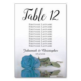 Elegant Turcoise Blue Ro Seating Chart Bröllop Bordsnummer