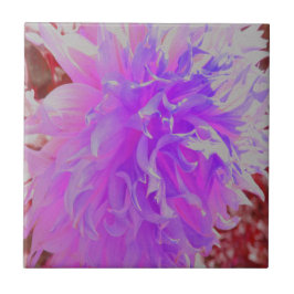 Elegant Ultra-Violet Decorative Dahlia Flower Kakelplatta
