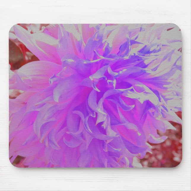 Elegant Ultra-Violet Decorative Dahlia Flower Musmatta (Framsidan)