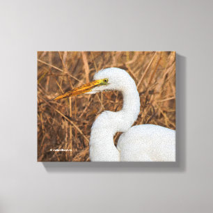 Elegant Underbar Egret i Reeds Canvastryck