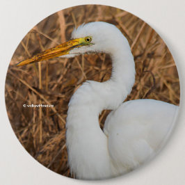 Elegant Underbar Egret i Reeds Knapp