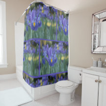 Elegant vårblomma lila iris