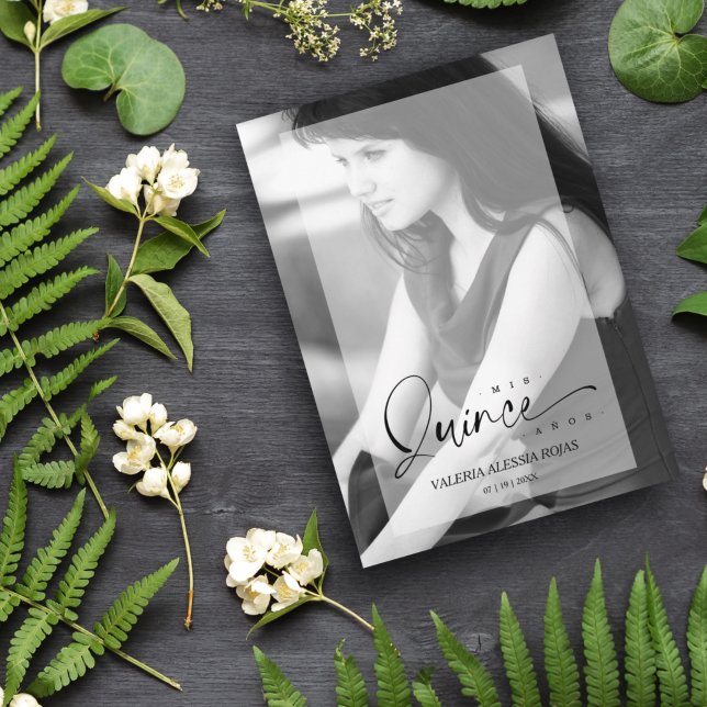 Elegant Vellum Effect Quinceañera Sofisticated Inbjudningar (Skapare uppladdad)