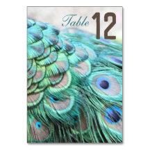 Elegant Vibrant Teal Peacock Feather Bröllop Bord