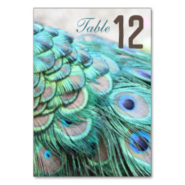 Elegant Vibrant Teal Peacock Feather Bröllop Bord Bordsnummer