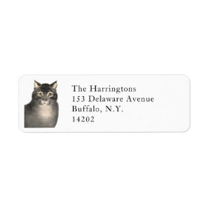 Elegant Victorian Tabby katt Return-adressetikett Returadress Etikett
