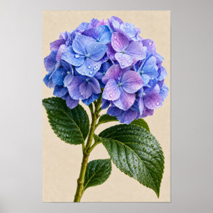 Elegant Vintage Blå Hortensia Blommig Väggkonst –