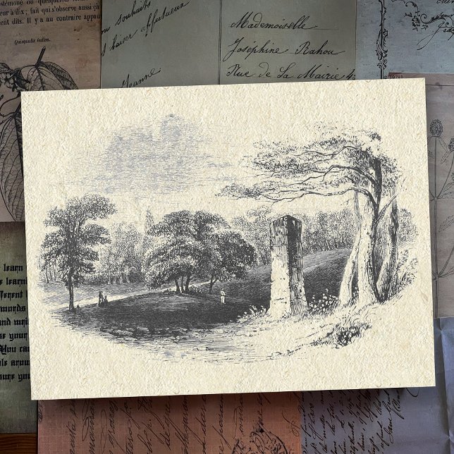 Elegant Vintage Black White English Countryside Vykort (Skapare uppladdad)