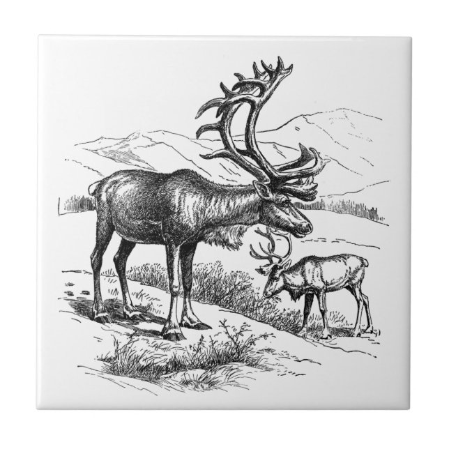 Elegant Vintage Black White Mountain Reindeer Kakelplatta (Framsidan)