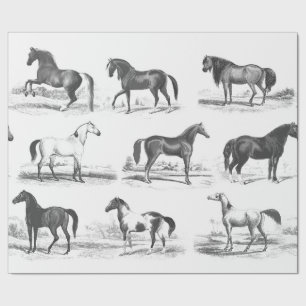 Elegant Vintage Black White Toile Horse Reds Presentpapper