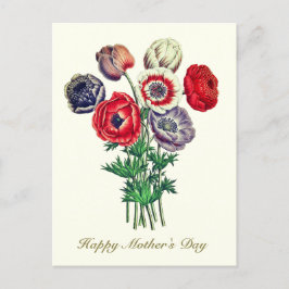 Elegant Vintage Botanical Poppy Anemone Vykort