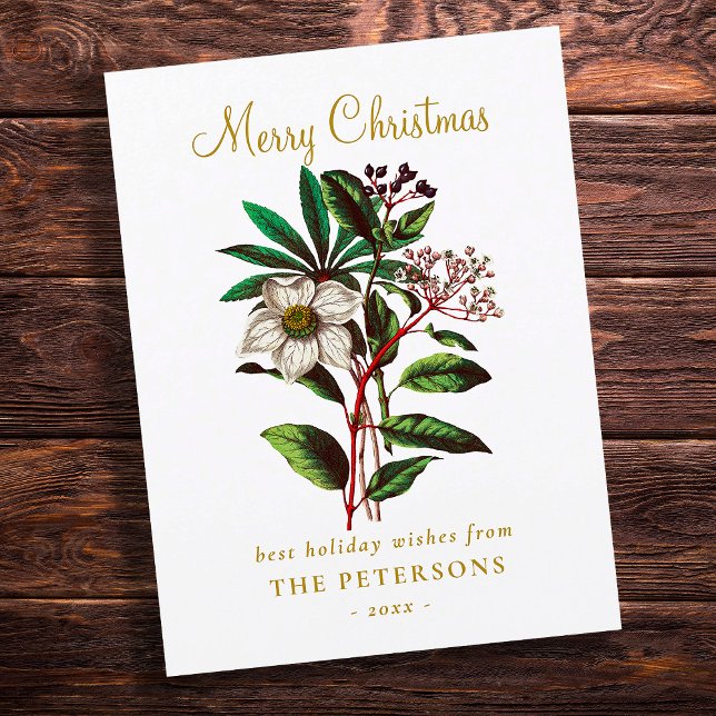 Elegant Vintage Botanisk jul Ro Flower (Skapare uppladdad)
