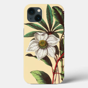 Elegant Vintage Botanisk jul Ro Flower