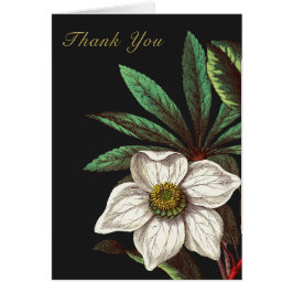 Elegant Vintage Botanisk jul Ro Flower Hälsningskort