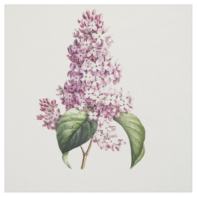Elegant Vintage Botanisk Lila Lilac Blommar Tyg (Provkarta)