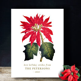 Elegant Vintage Botanisk Poinsettia Flower Vykort