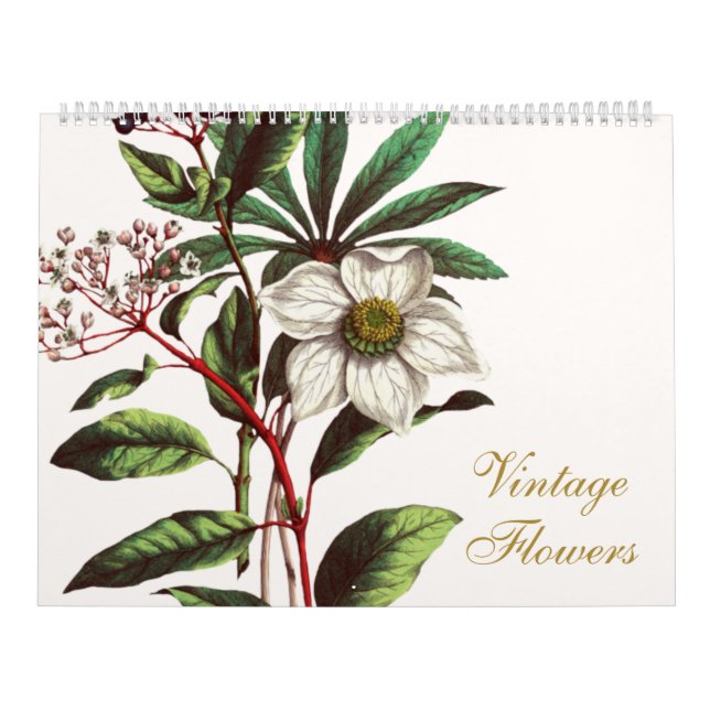 Elegant Vintage Botaniska blomillustrationer Kalender (Omslag)