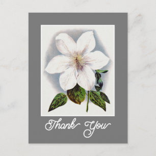 Elegant Vintage Clematis Henryi Blomma Tack Vykort