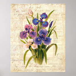 Elegant Vintage Fransk Rosa och Lila Strykning Poster