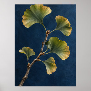Elegant Vintage Ginkgo Biloba Botanisk Väggkonst –