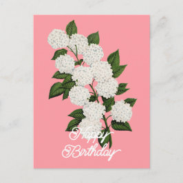 Elegant Vintage Japansk Snöboll Lycka Till Födelse Vykort