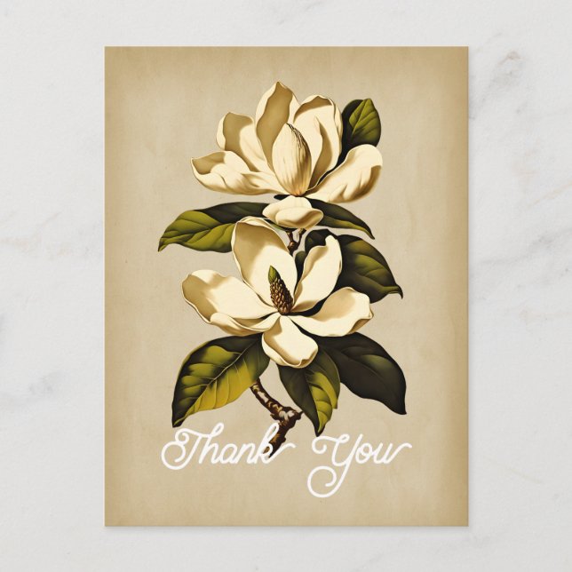 Elegant Vintage Magnolia Blomma Tack Vykort (Framsida)