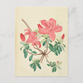 Elegant Vintage rosa blommigt vykort för