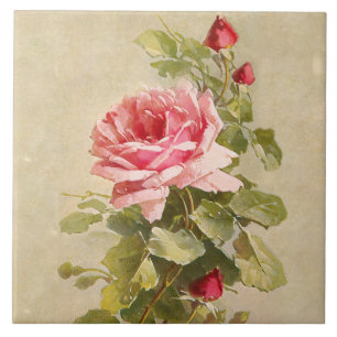 Elegant Vintage Rosa ros Kakelplatta