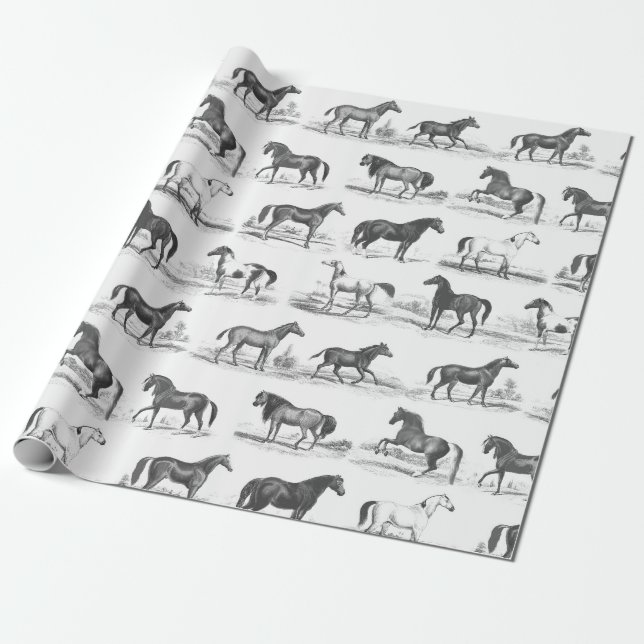 Elegant Vintage Rustic Horse Breeds Toile Presentpapper (Utrullad)
