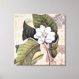Elegant Vintage Södra Vita Magnolia Canvastryck