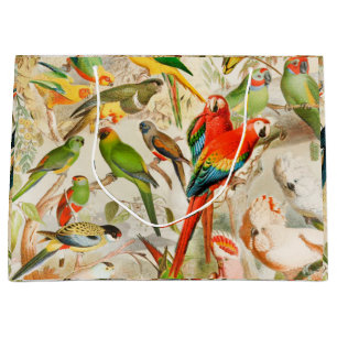 Elegant Vintage Tropical Birds Parrots