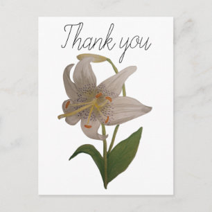 Elegant Vintage White Lily Flower Tack Vykort
