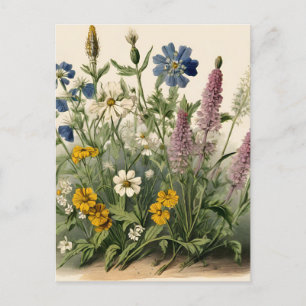 Elegant Vintage Wildblommor Vykort