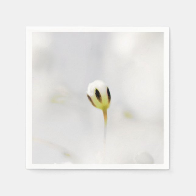 Elegant vit blomknopp papper servett (Framsidan)