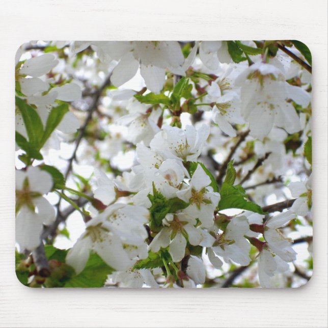 Elegant Vit Blommar Vit blommar träd Musmatta (Framsidan)