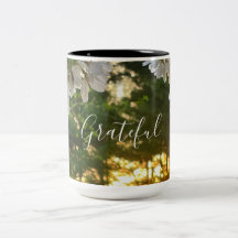 Elegant, vit blommigt, soluppgång gräs träd