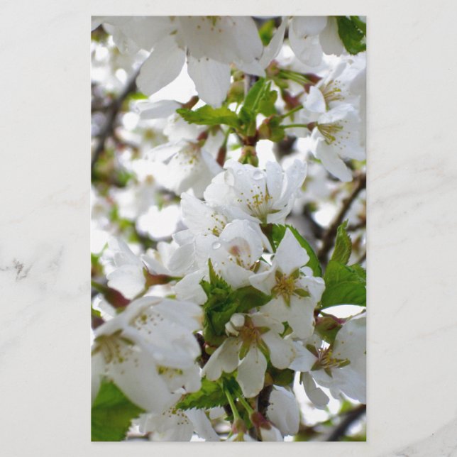 Elegant vit blomsterblom foto brevpapper (Framsida)