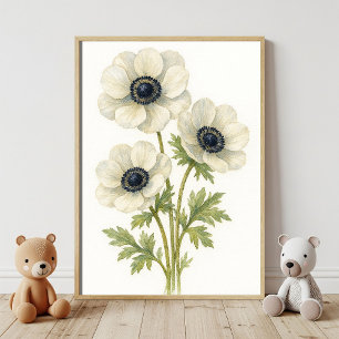 Elegant Vit emonBlommigt Botaniskt vattenfärg Poster