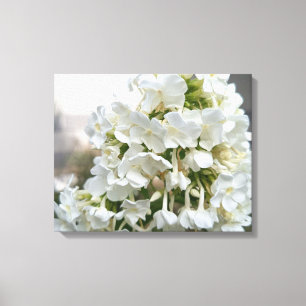 Elegant vit hortensia blomsterduk på canvas   B