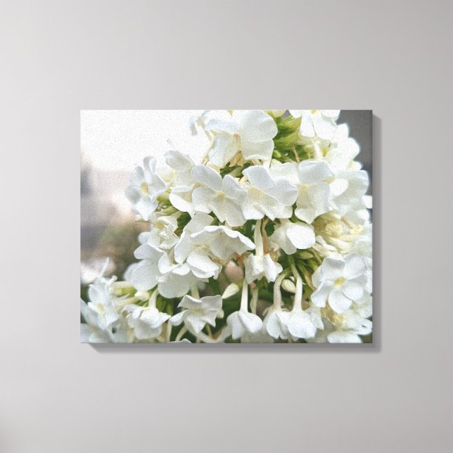 Elegant vit hortensia blomsterduk på canvas | B (Framsida)