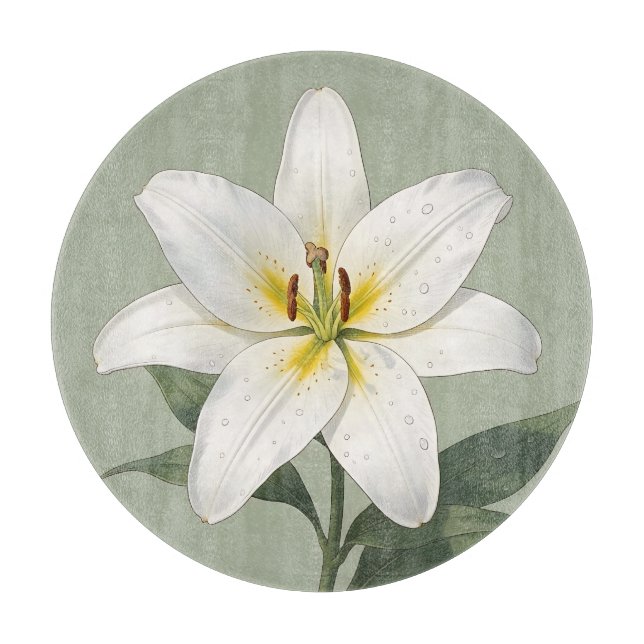 Elegant vit lilja daggdroppar botanisk (Framsidan)