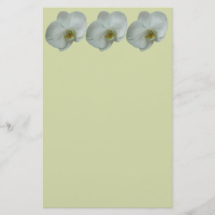 Elegant Vit Orchid Flower Botanical Brevpapper