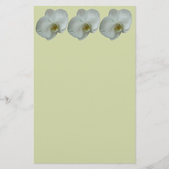 Elegant Vit Orchid Flower Botanical Brevpapper (Framsida)