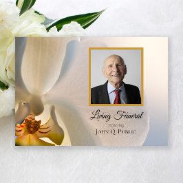 Elegant Vit Orchid Flower Living Funeral Party Inbjudningar