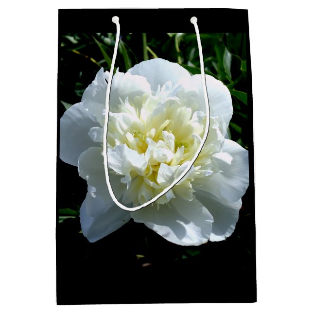 Elegant vit peony-blommigt, vit blomma (Framsidan)