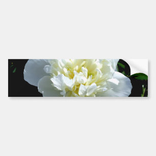 Elegant vit peony-blommigt, vit blomma bildekal