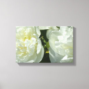 Elegant vit peony-blommigt, vit blomma canvastryck