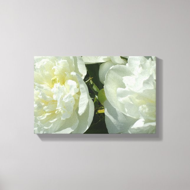 Elegant vit peony-blommigt, vit blomma canvastryck (Framsida)