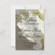 Elegant vit peony-blommigt, vit blomma